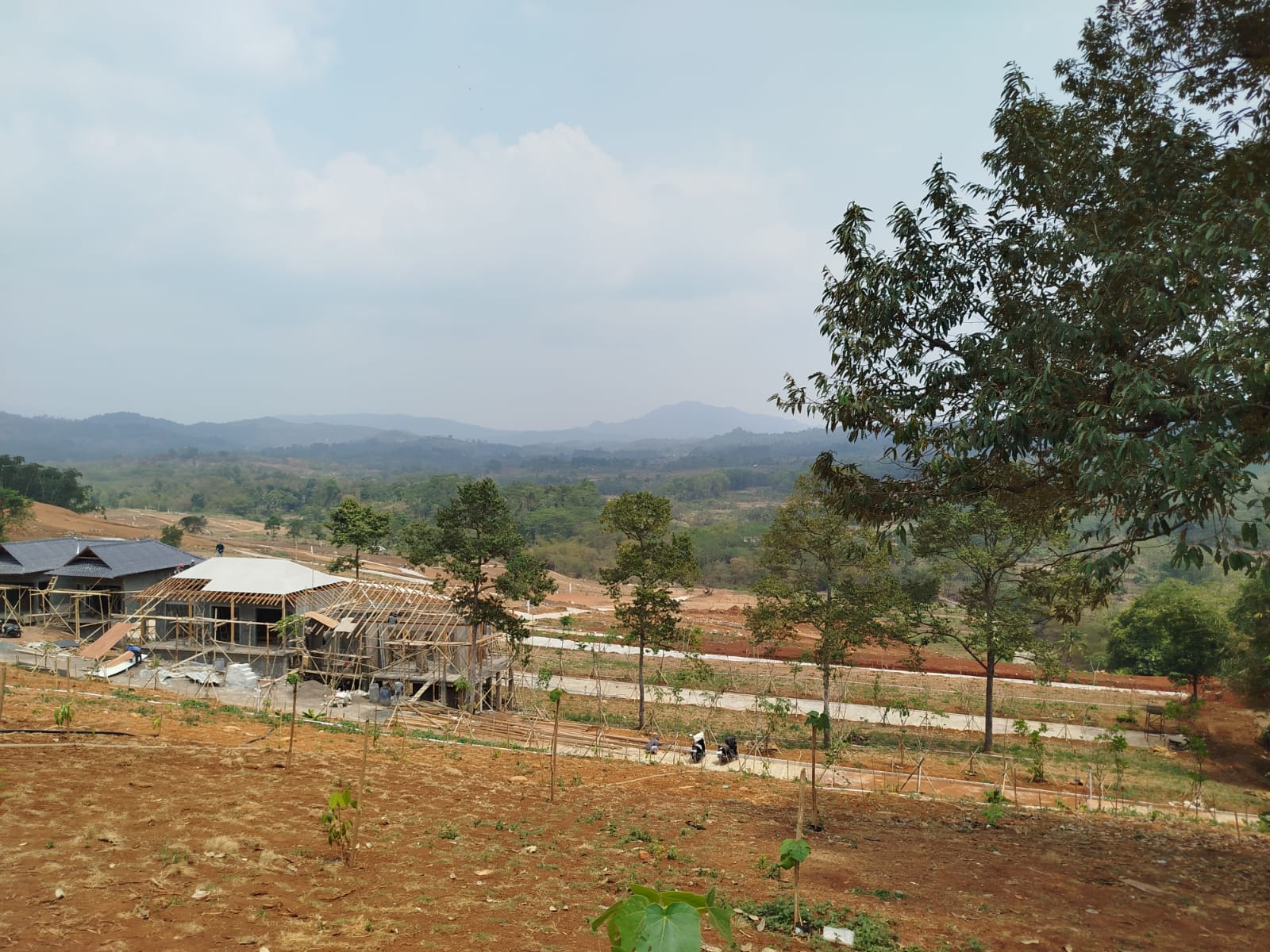 Progres Pembangunan Hanami Rivera