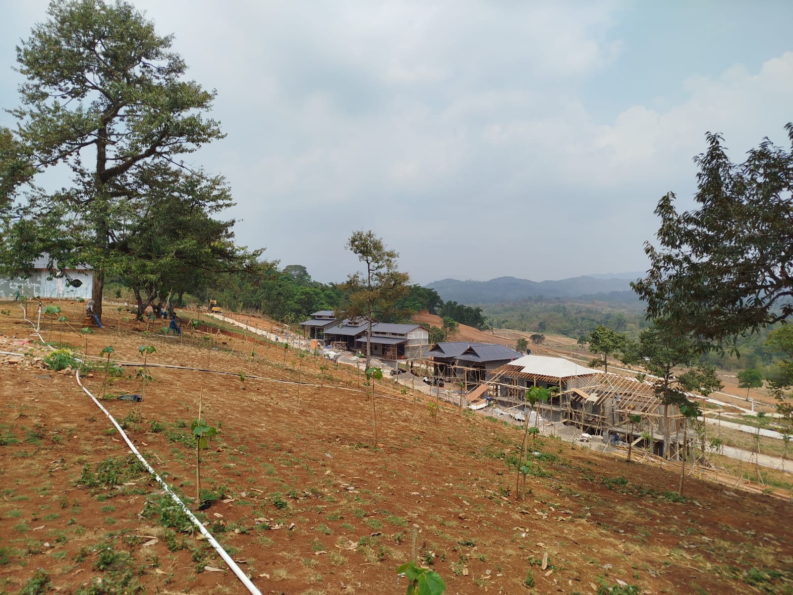 Panorama Kawasan Hanami Rivera