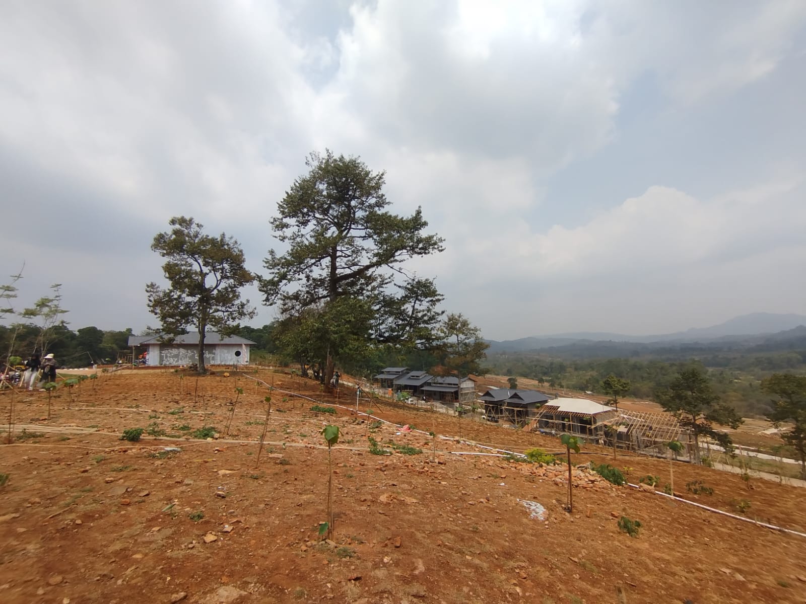 Progres Kawasan Hanami Rivera