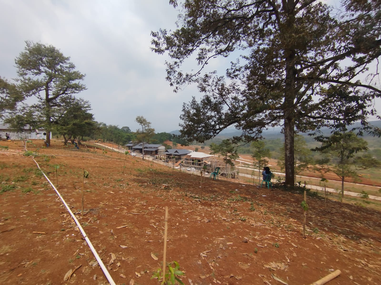Progres Kawasan Hanami Rivera