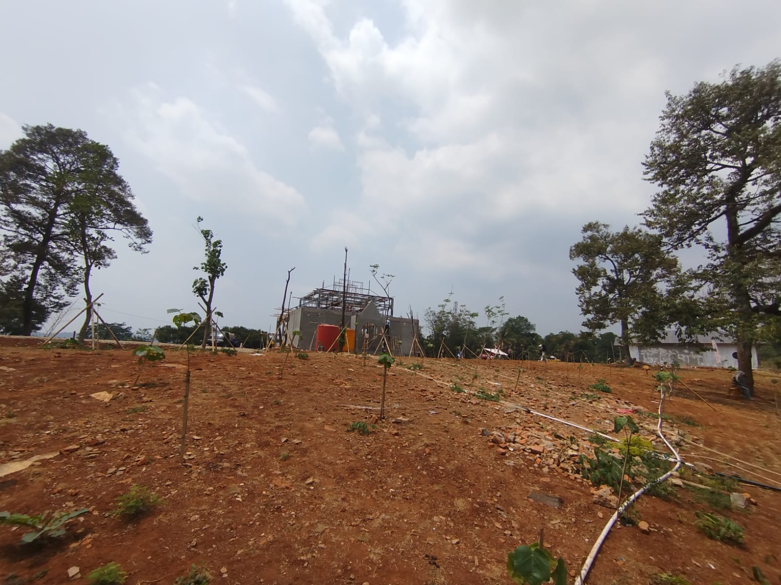Progres Pembangunan Hanami Rivera